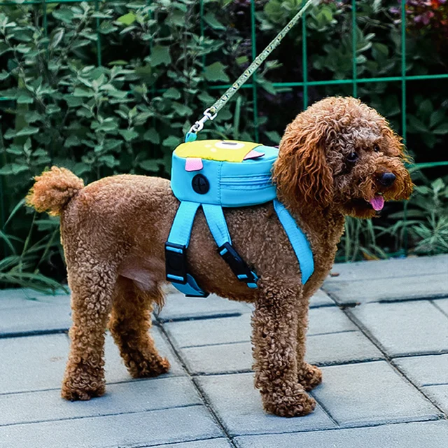 Cartoon Pet School Bag for Cats Dogs Regulowany plecak dla szczeniąt z uprzężą Kitten Poodle Snack Bags Mascotas Supplies