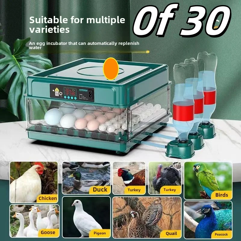 

Upgraded Automatic Incubator Automatic Water Incubator Chicken Duck Goose Pigeon Quail Smart Household Small Egg Incubator