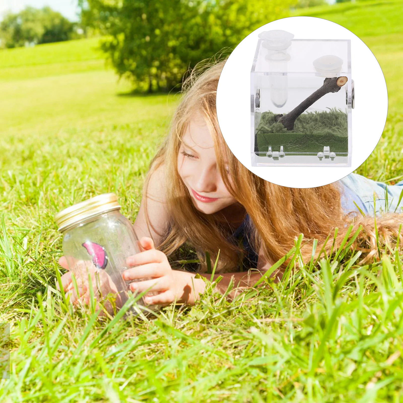 

Transparent Jumping Spider Enclosure Reptile Breeding Box Lightweight Durable Acrylic Container Snail Terrarium Feeding Case