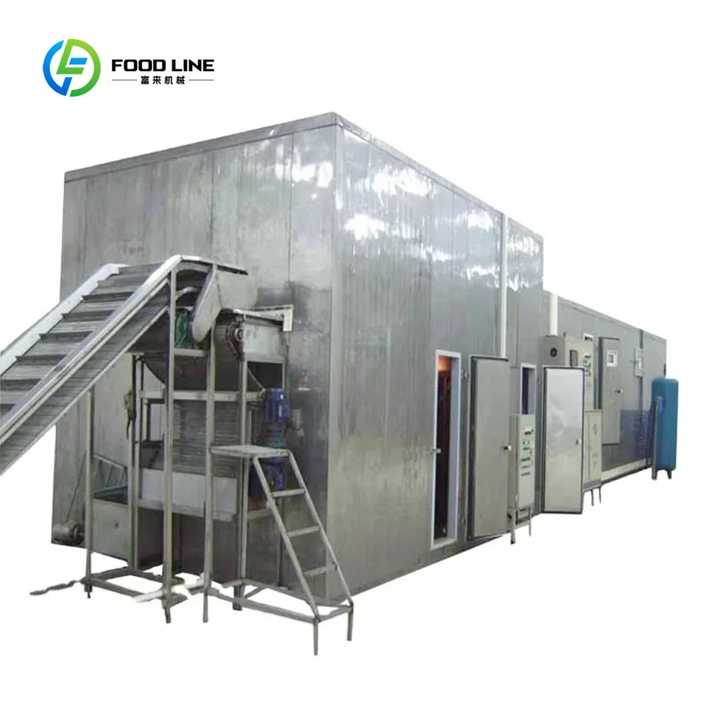Customized High Quality and Efficient Mesh Belt Tunnel Quick Freezer TS-1000 of China IQF Machine Manufacturer