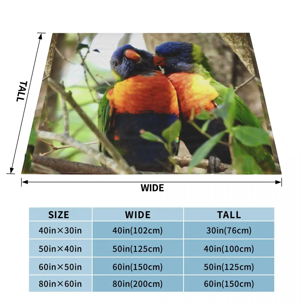 Bird Kiss Rainbow Lorikeets Throw Blanket Luxury Designer Nap Comforter Blankets