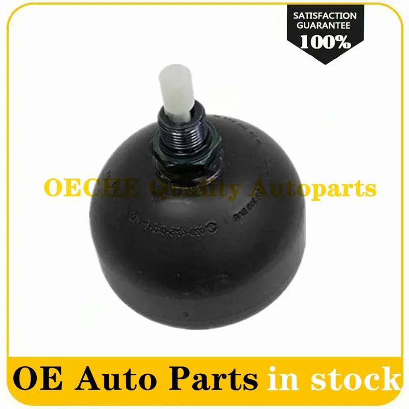 A2203270215 2203270215 1X For Mercedes-Benz W220 S500 S600 LEFT Front Active Body Control ABC Accumulator High Quality