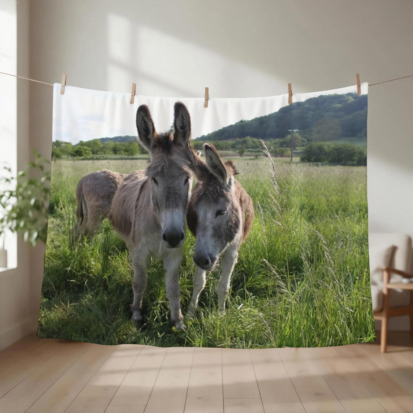 Adorable grey donkeys in the high grass meadow Throw Blanket Tourist Moving manga Luxury Blankets