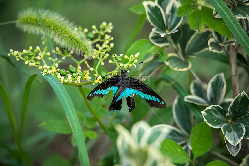 

RC Model car 1/10 flat running road racing tire TT01 strong grip and wear-resistant 70MM nylon hub