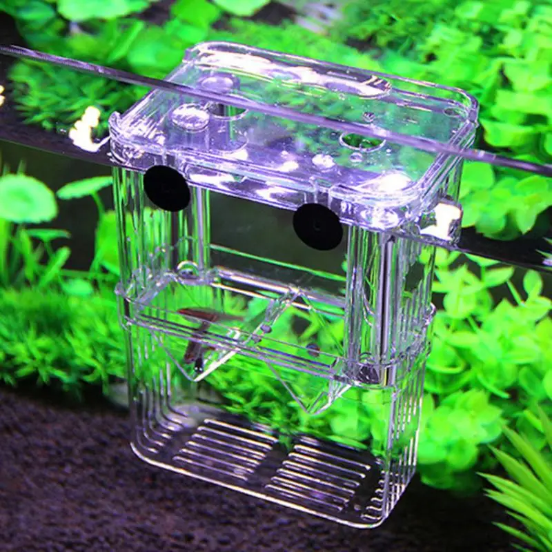 Acrylic Peacock Fish Breeding Box - Aquarium Isolation Hatchery Incubator for Fish Tank Fry Rearing Aquarium Supplies