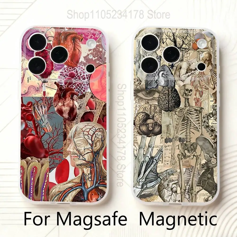 

Medical Human A-Anatomy For iPhone 11,12,13,14,15,17,16,Pro,Plus,E,Max,Air,Mini Clear Magnetic Frosted Cover
