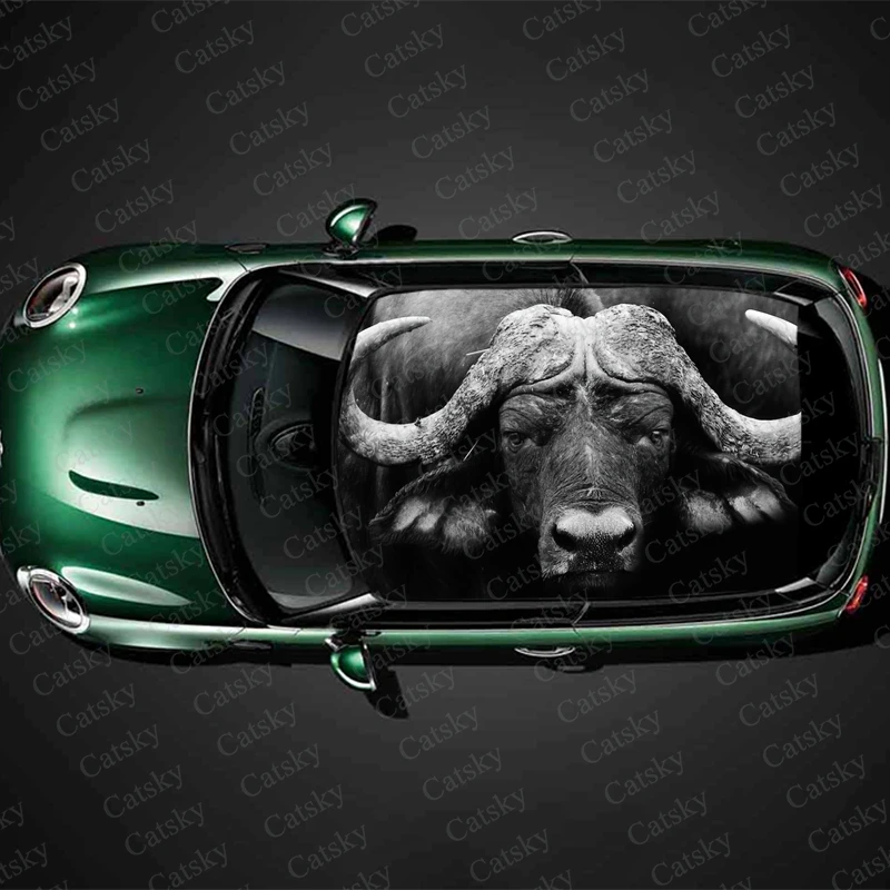 

buffalo animal Car stickers, roof decals, car sunroof decorative stickers, painting, modified hood, car window decals