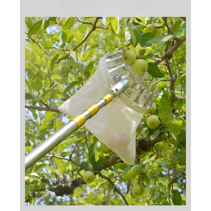 قطب تلسكوبي لقطف الفاكهة، البرقوق، البرسيمون، منتقي الفاكهة، قطف الارتفاعات العالية، التوت البري، المانجو، المشمش