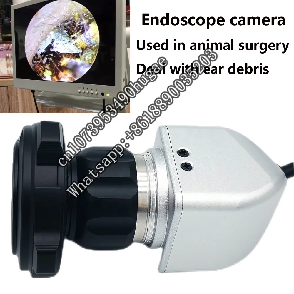 Animal Hospital Medical Veterinary   Portable Veterinary Endoscopy for Dog Horse Surgery Ear Cleaning