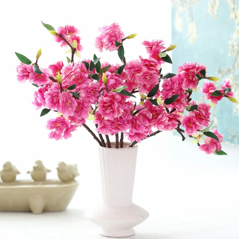 Green Aloes 6Pcs Ar…