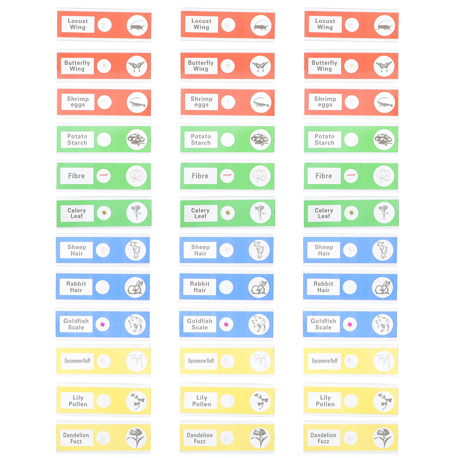Образец биологического образца