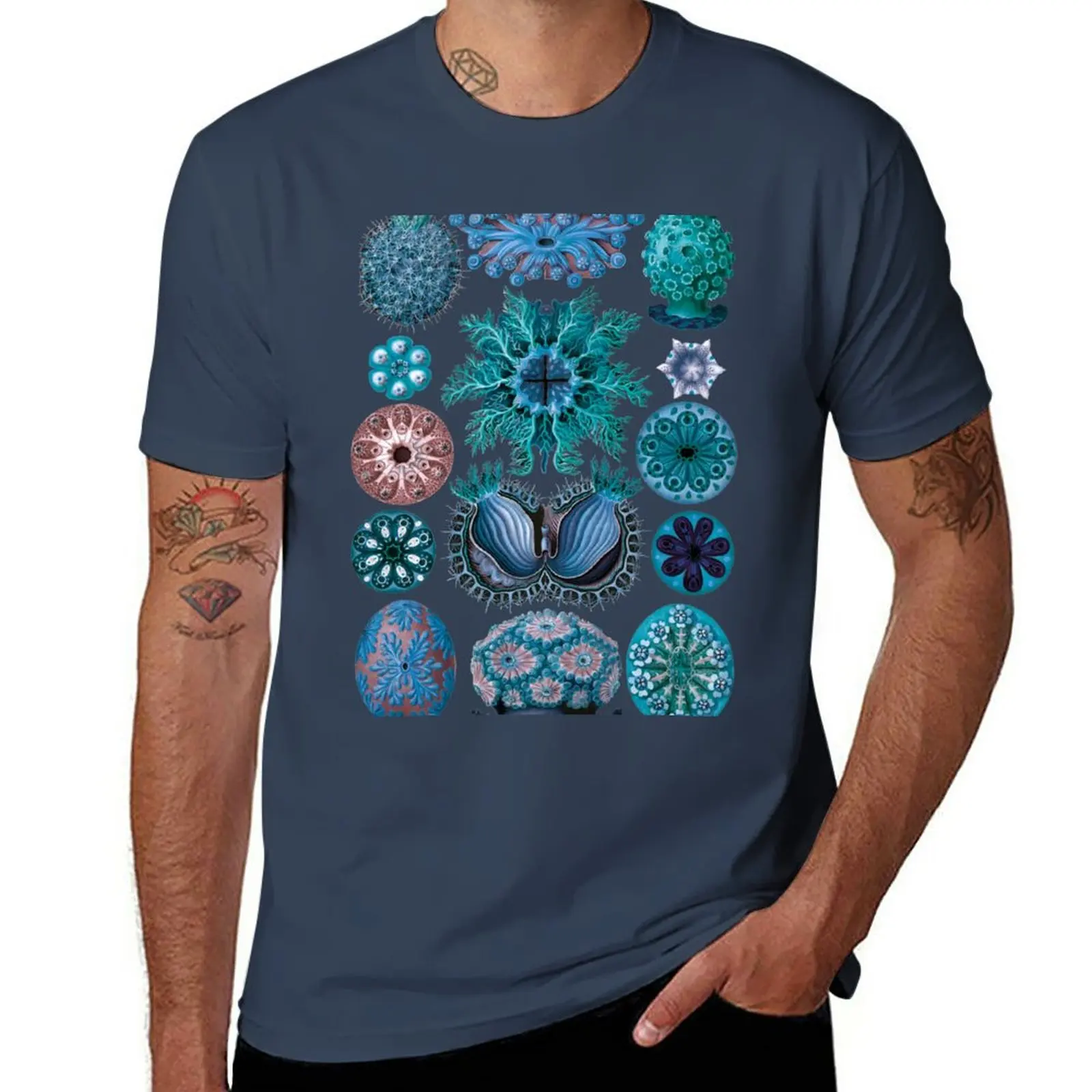 New Ernst Haeckel Ascidiae Sea Squirts Blue T-Shirt plus size tops man clothes mens t shirts pack