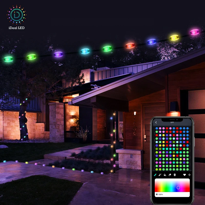 Iluminación RGBIC WS2812B, cadena de luces navideñas de colores de ensueño, BT, música, fiesta, boda, guirnalda, decoración al aire libre, USB, DC5V