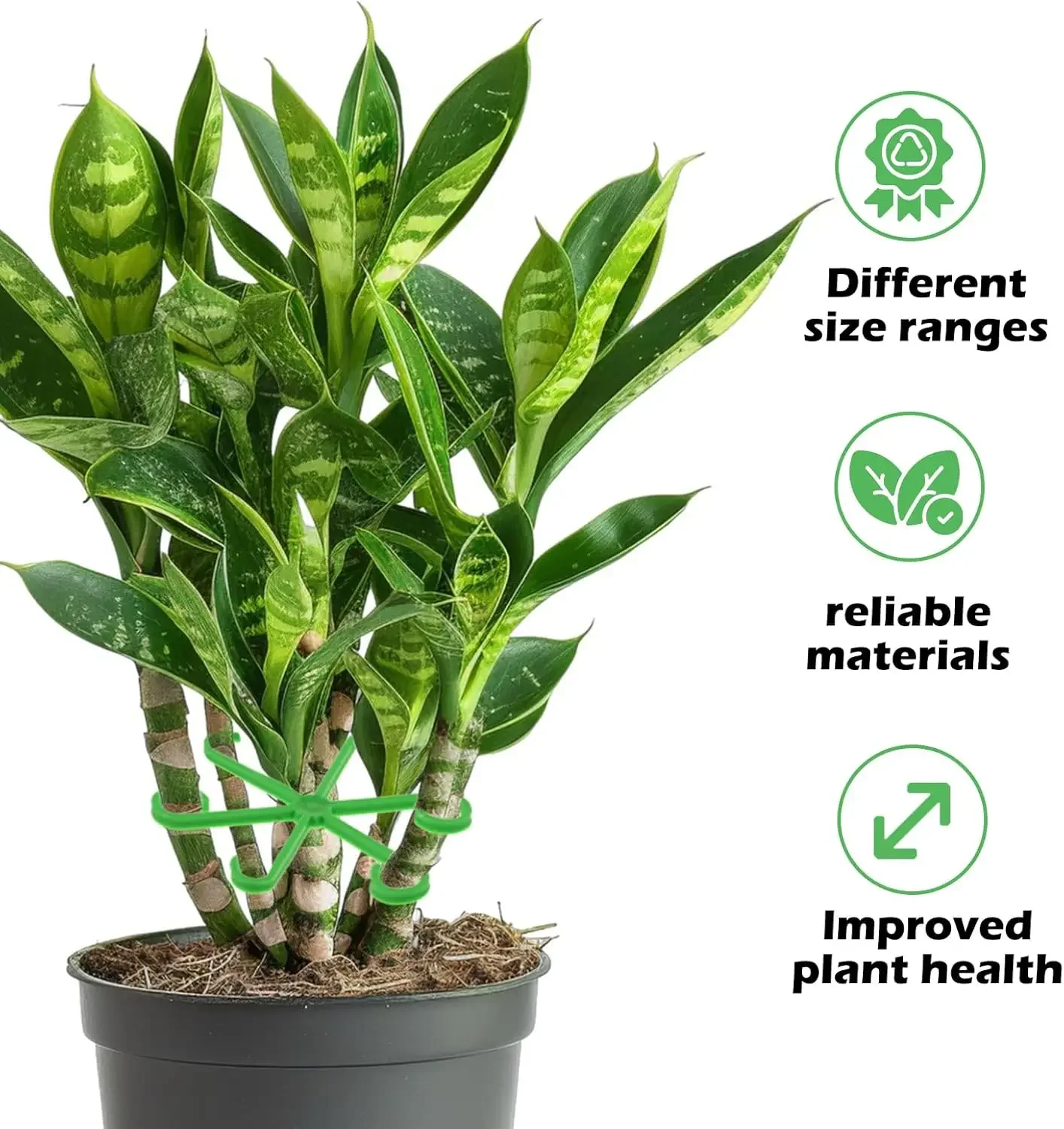 4pcs Climbing Plants Support Clips Flower Stem Collection Fixing Rack Climbing Support Frame for Climbing Alocasia Monstera Vine
