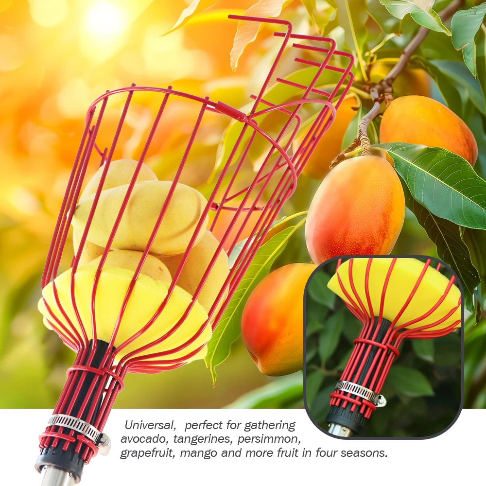 Recogedor De Frutas Extensible De 3,2 M, Fácil Montaje, Mango De Acero Inoxidable Para árboles De Todo Tipo