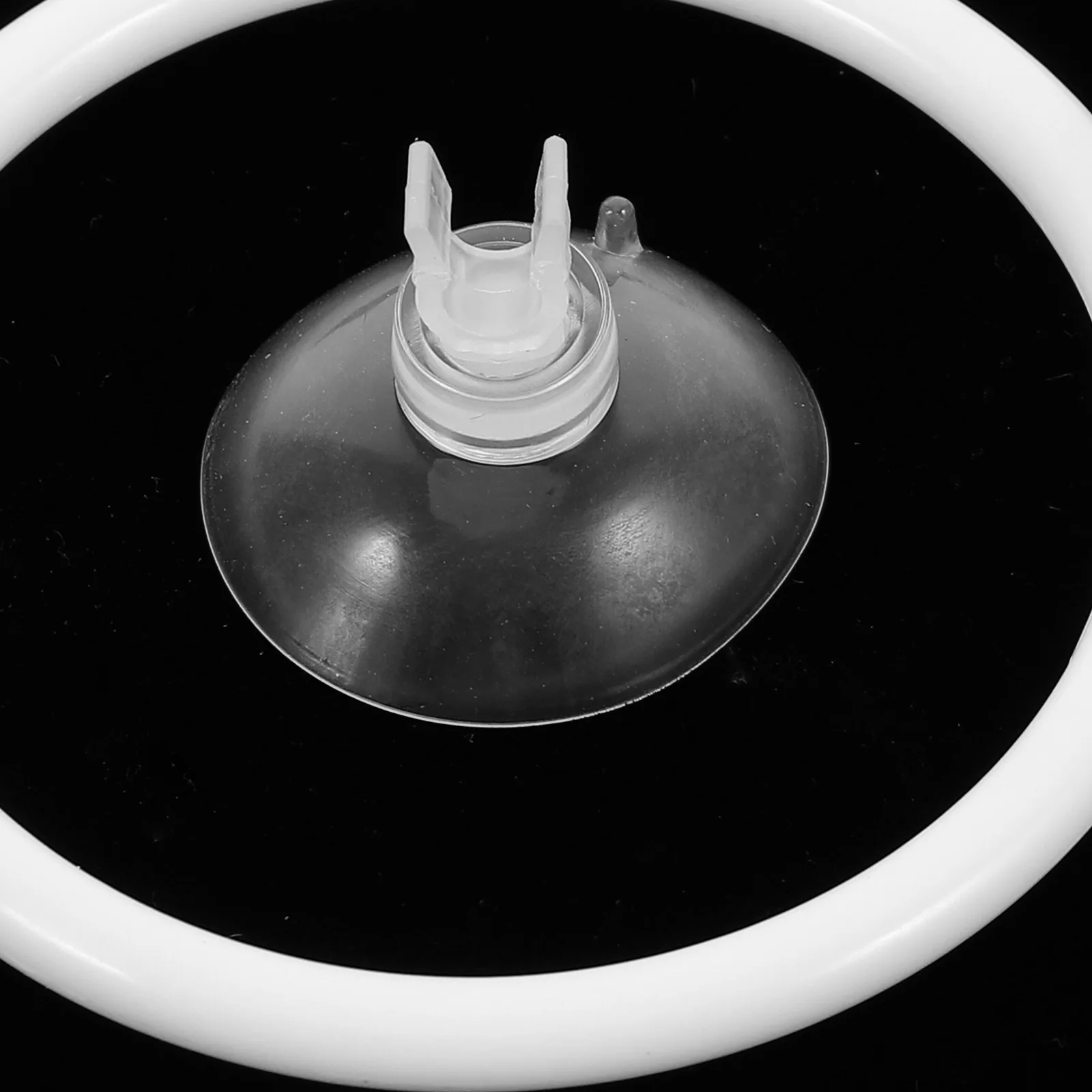 

Strong Suction Betta Training Ring Fish Exercise Loop Aquarium Fitness Playground Durable Safe Easy Install Hidden Space Pond