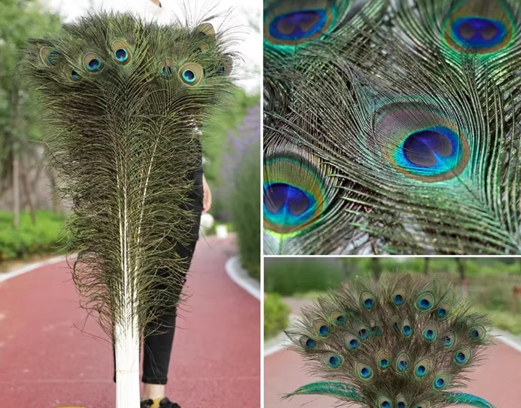 

Natural Peacock Feathers Vase Insert Ornament Bird Plumes Home Garden Decorative Accessory for Floral Arrangements