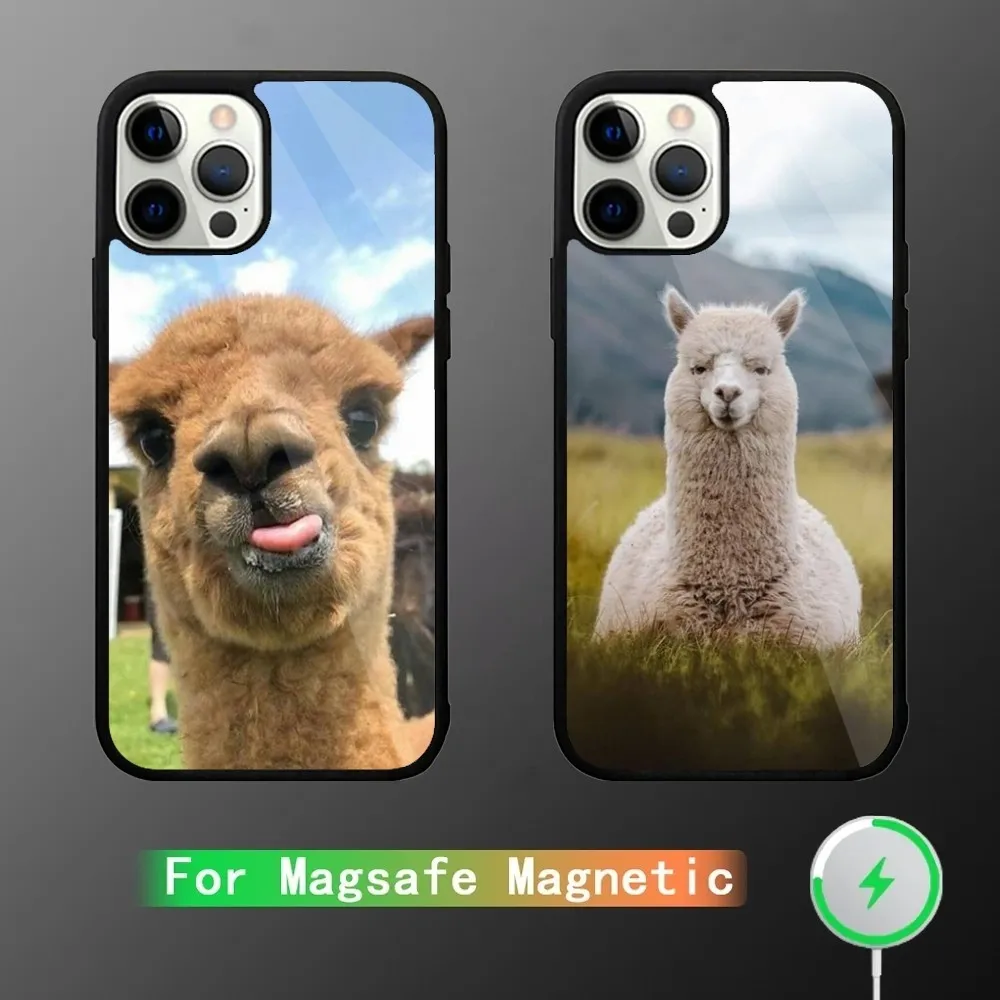 Lama Llama Alpaca  Phone Case For iPhone 15,14,13,12,11,Plus,Pro,Max Mini Magsafe Magnetic Wireless Charging