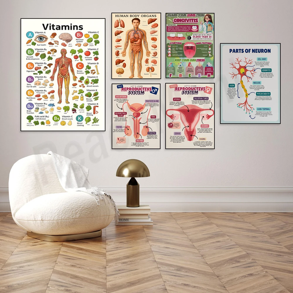 Body nutrition chart, female, male reproductive system, body systems poster, biology, five senses print, educational infographic