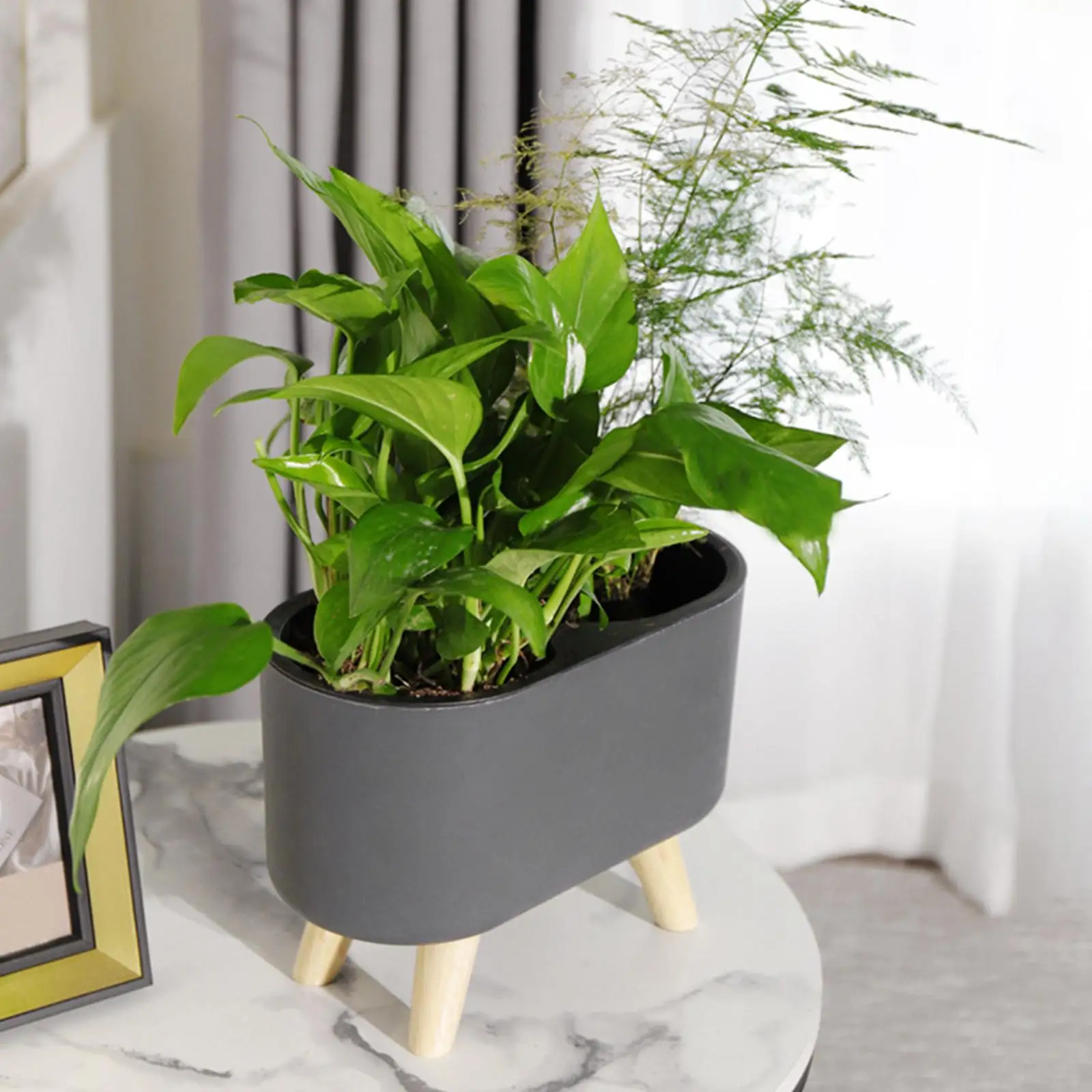 Self Watering Planter Small er Plant Pot with 2 Hole, Indoor Table Planter with Plant Substrate for Aloe, , Orchid and Plants