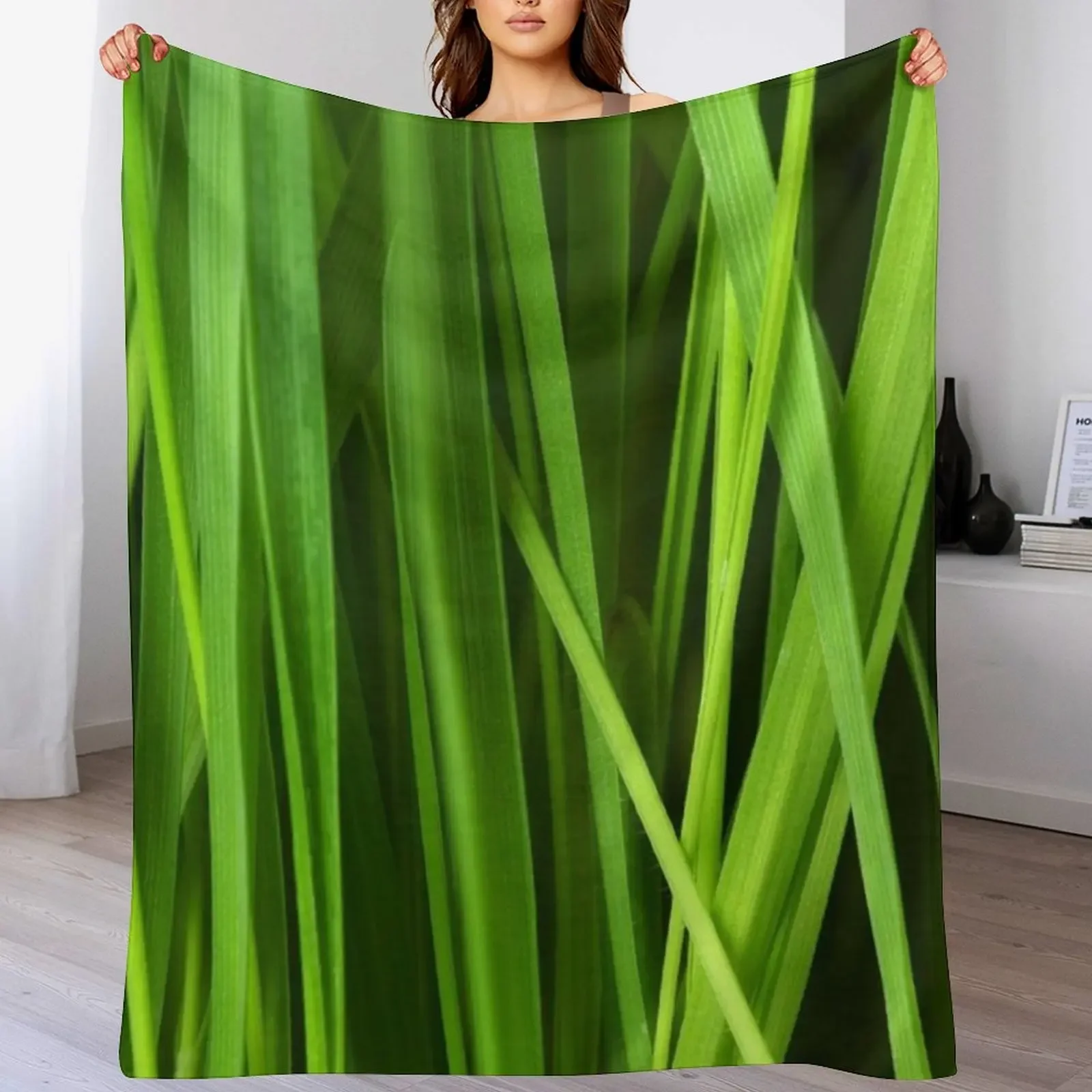 

sunbeam heated Throw Blanket Custom for sofa Personalized Gift Nap Blankets