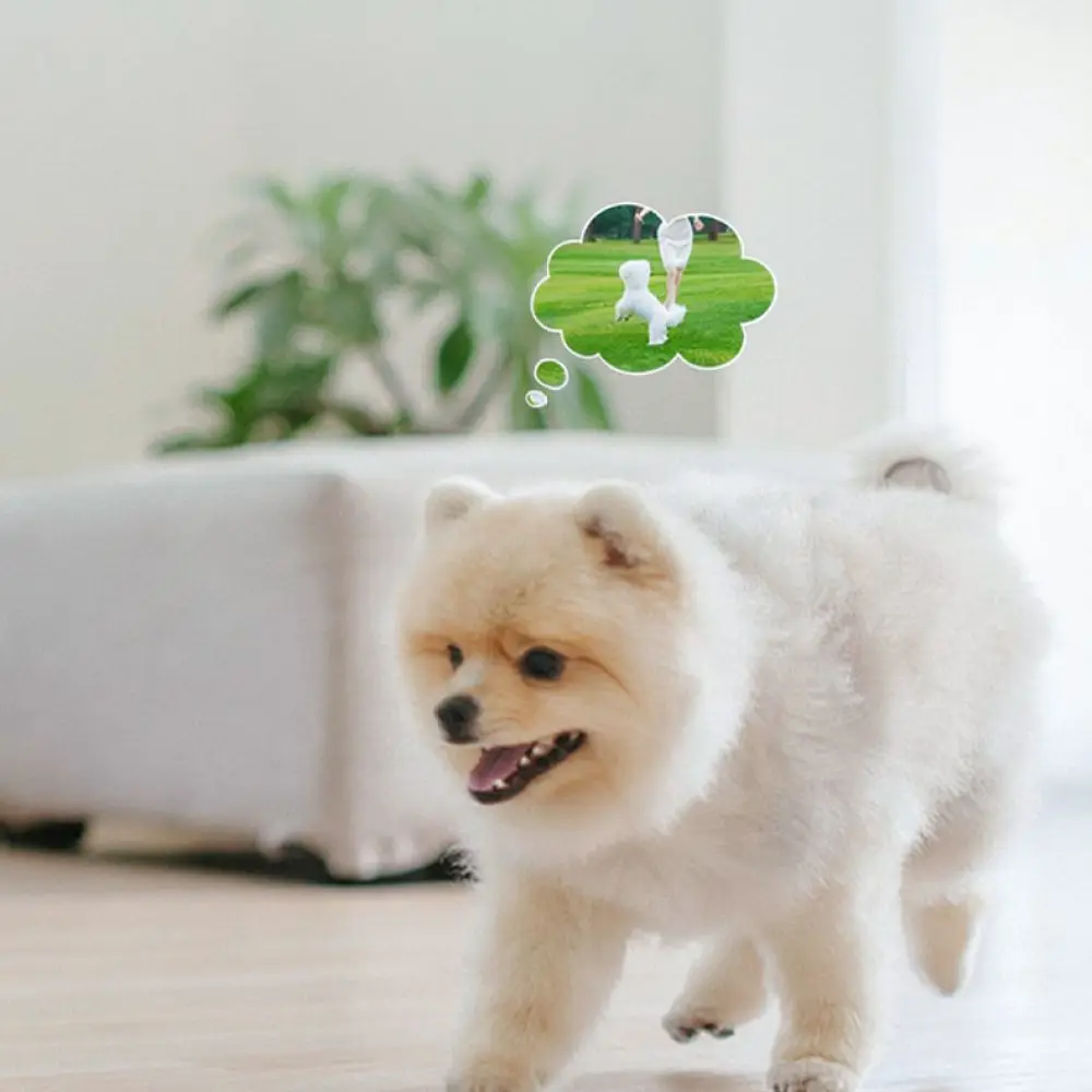 Interactive Dog Talking Button Recordable Sound Box Pet Training Communication Toy Speech Learning Aid Press Tool