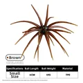 Brown-S