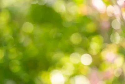 

Шины 1.0 дюйма D399 / Латунные диски D398 для радиоуправляемых краулеров 1/18 TRX4M SCX24 FMS Ascent-18