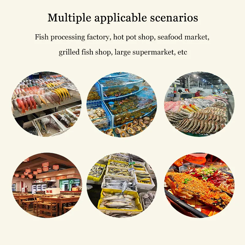 Commerciële Fish Scaler Machine Automatische Fish Scaler Removal Machine