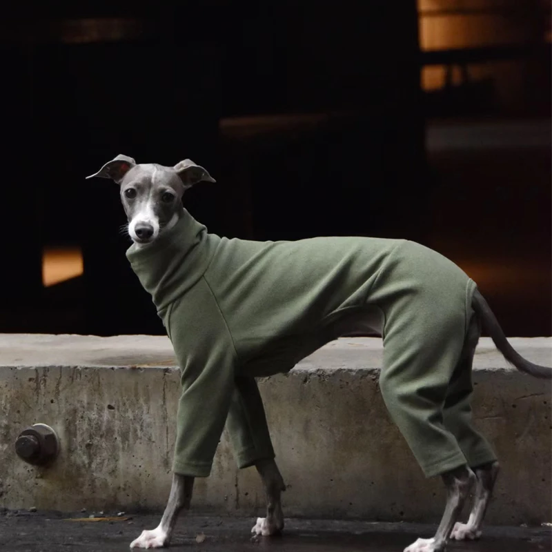 

Soft Whippet Turtleneck 4-legged Clothes Warm Italian Greyhound Cotton Stretch Dog Sweater in Autumn Winter