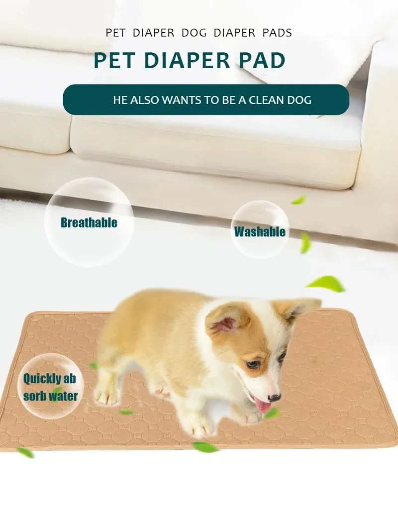 Tapis absorbant chien lavable imperméable antidérapant