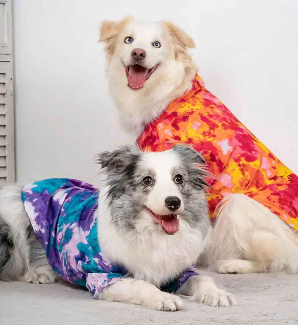 

Big Pet Clothing for Dog, Poodle, Bichon, Schnauzer, Corgi, Bull, Terrier, Samoyed, Husky, Labrador, Golden Retriever, Summer