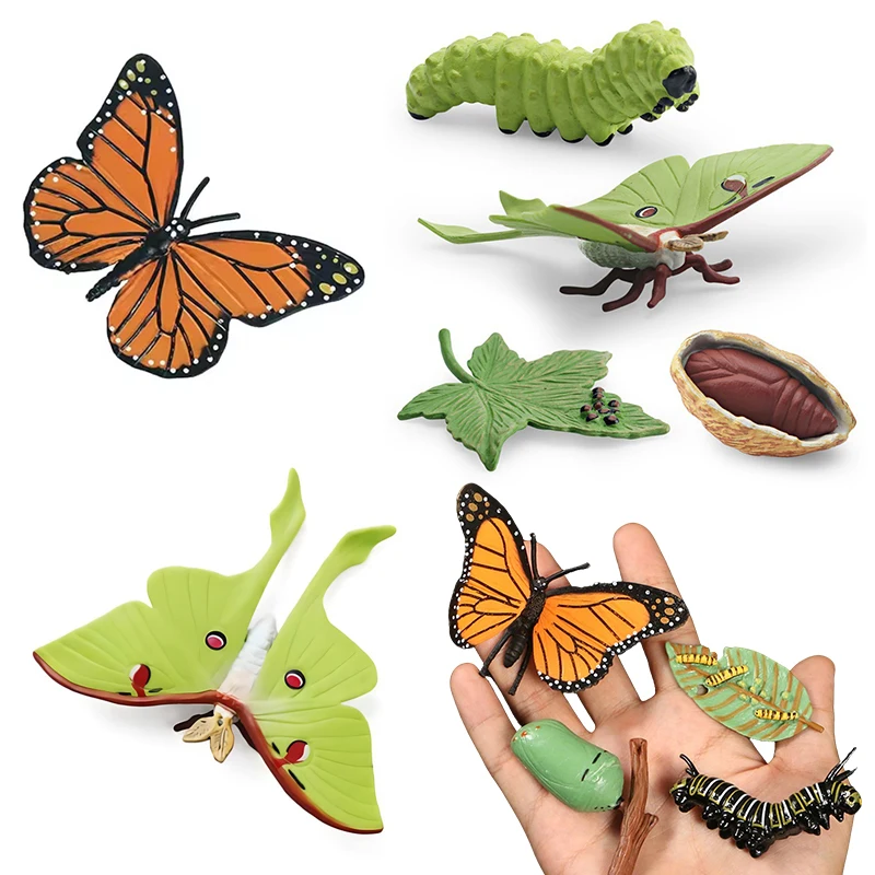 Simulation Insect Growth Trajectory Model Butterfly Moon God Moth Style Bionic Miniatures Outdoor Science Nature Exploration ZYF