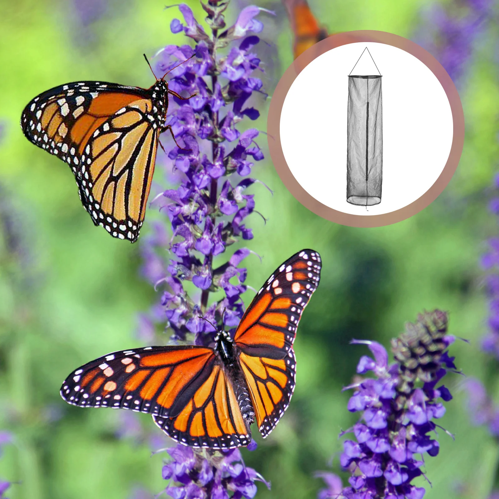 

Клетка для разведения бабочек Премиум-сетка из полиэстера с толстыми полями, большая молния, портативная складная коробка для наблюдения, дышащая