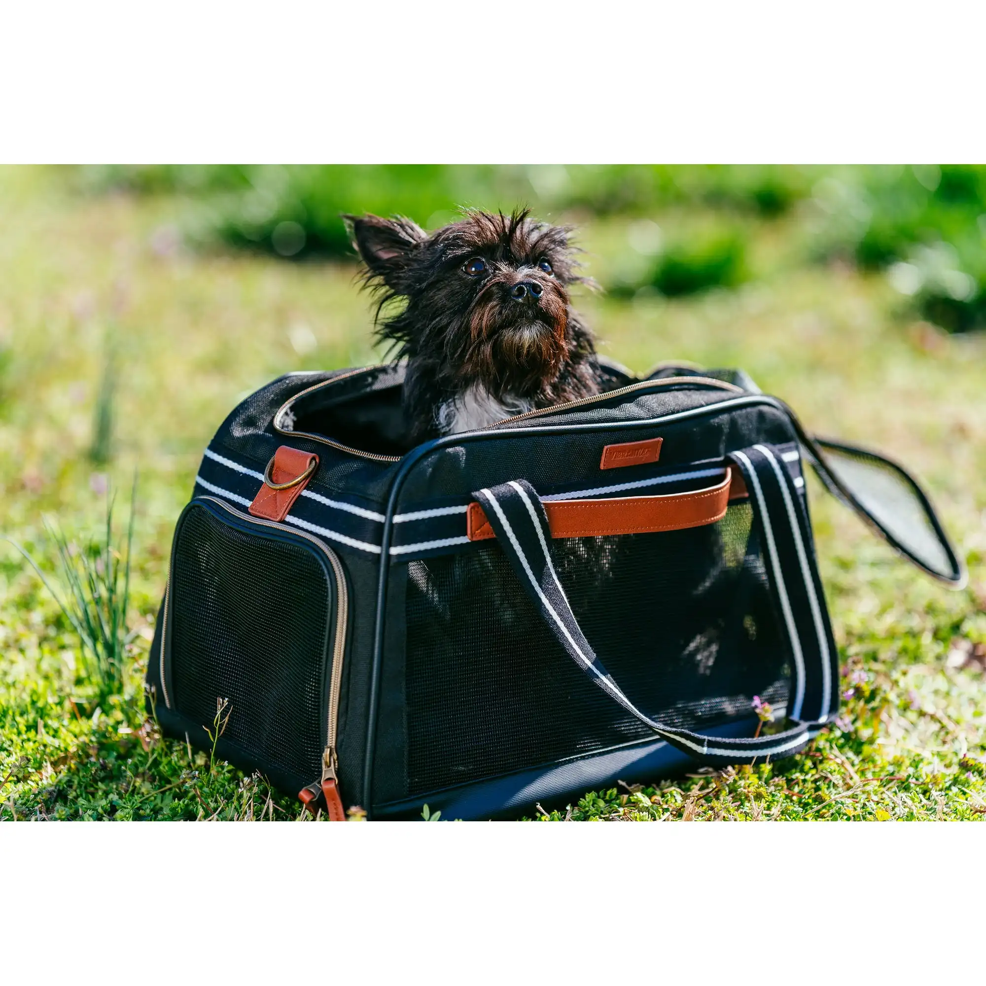 

Small Pet Travel Carrier, Black and Tan, 17" x 10.5" x 11"
