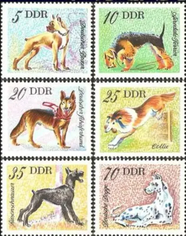 6 PCS/Set, DDR Postage Stamps,1976,Dog Stamps,Animal Stamp,High Quaility,Good Condtion Collection,MNH