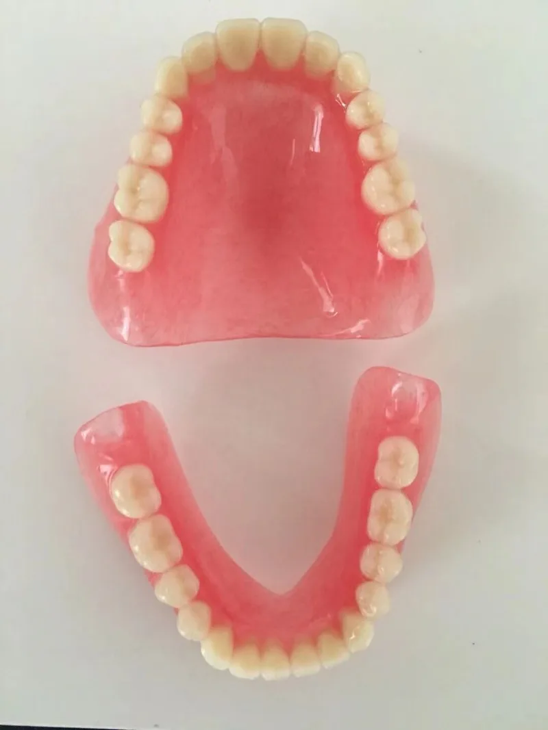 Full tooth model display supplies full dentures movable teeth removable dentures