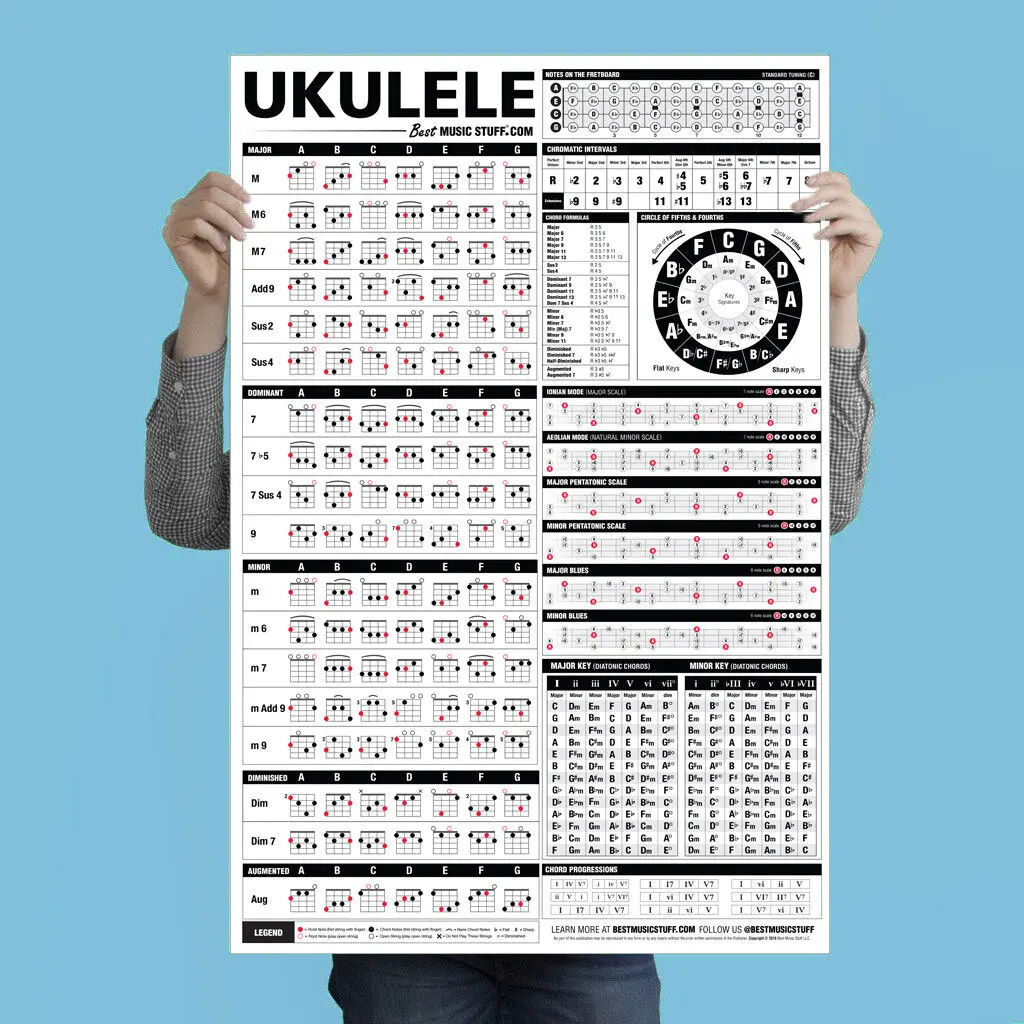 Ukulele Chord Poster Educational Reference Guide for Beginners Wall Art Music Home Decor