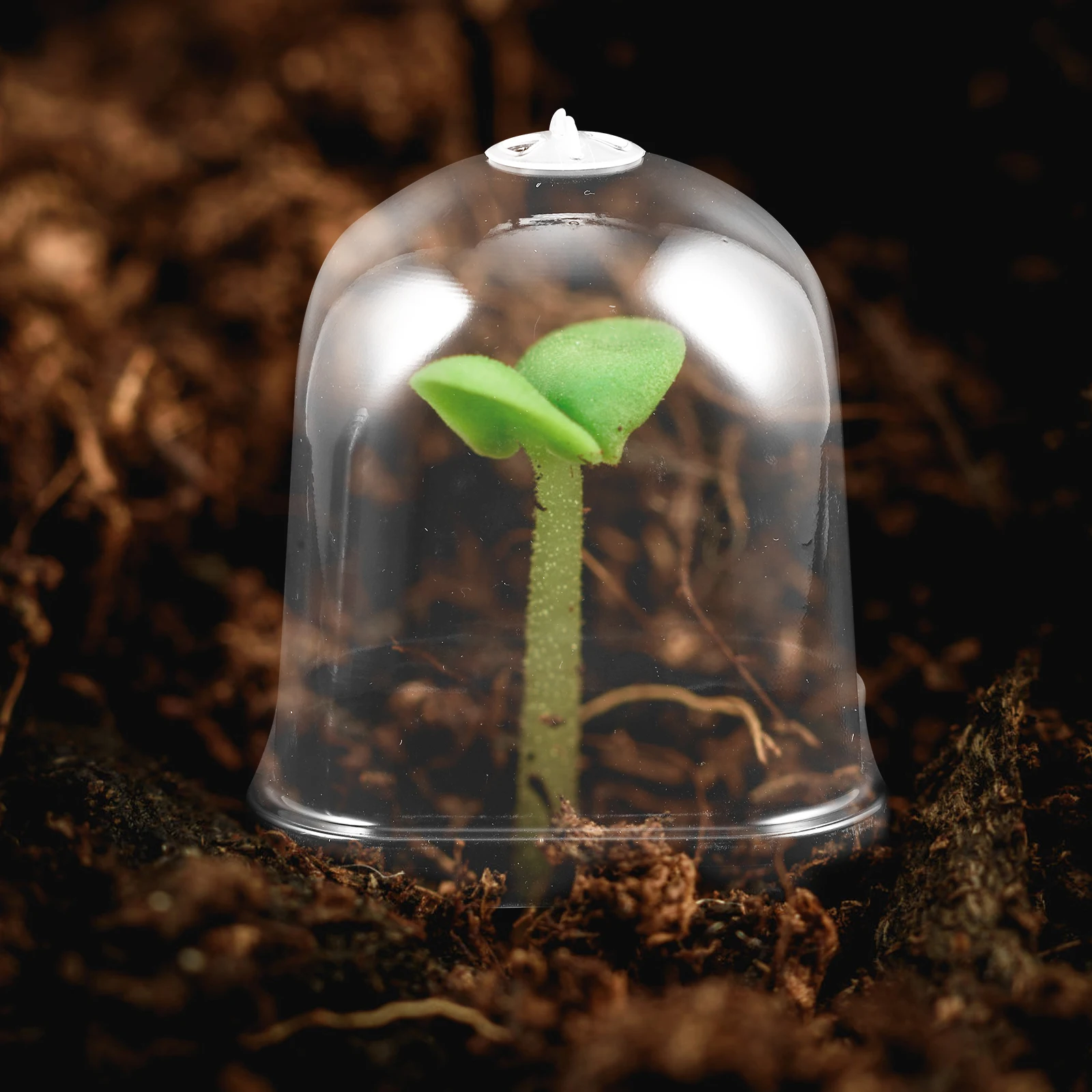 

10 шт. квадратный цветочный горшок для рассады, прозрачный купол, детский клаш для влажности, пластиковый протектор для сада, мини-растения, рост