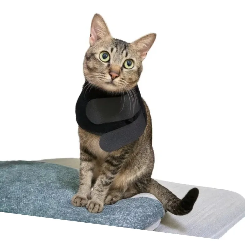 

Infrared Light Therapy Apparatus Veterinary Therapeutic Equipment for Cats and Dogs for Veterinarians Animal Care and Supplies