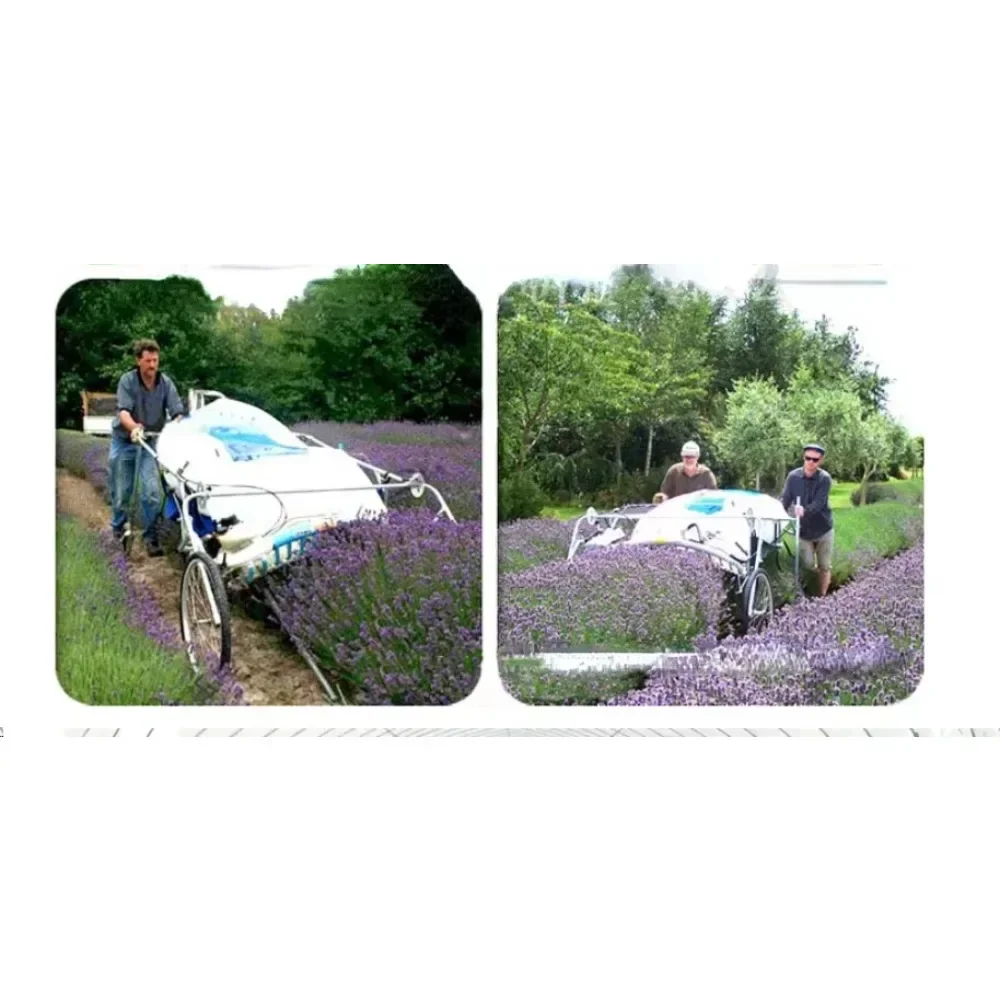 Upgraded Fresh Lavender Picker Tea Leaves Leafy Vegetables Walk Behind 1210mm Width Lavender Cutting Harvester