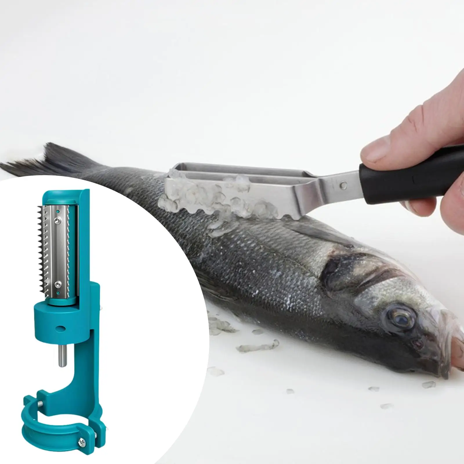 

Electric Drill Scaler, Skin Grater ,Descaler Tool ,Scaling Attachment ,for Restaurant