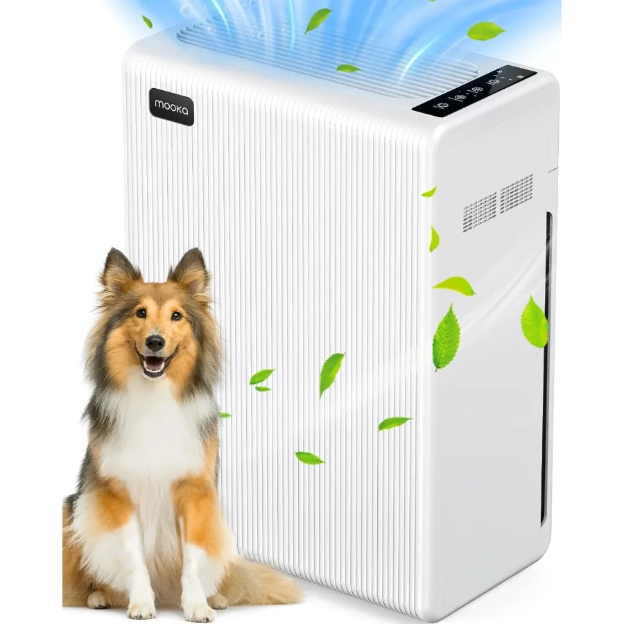 Air Purifiers For H… - image