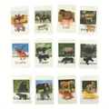 A 24PCS