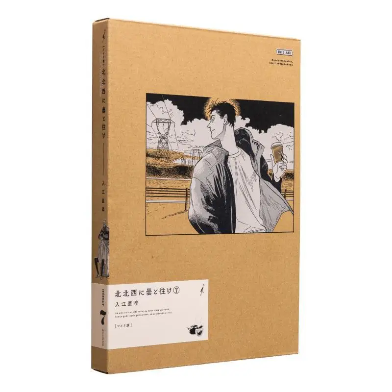 Northnorthwest To The Cloud  Wide  07 Aki Irie Kadokawa Shoten 9784047379596 Book