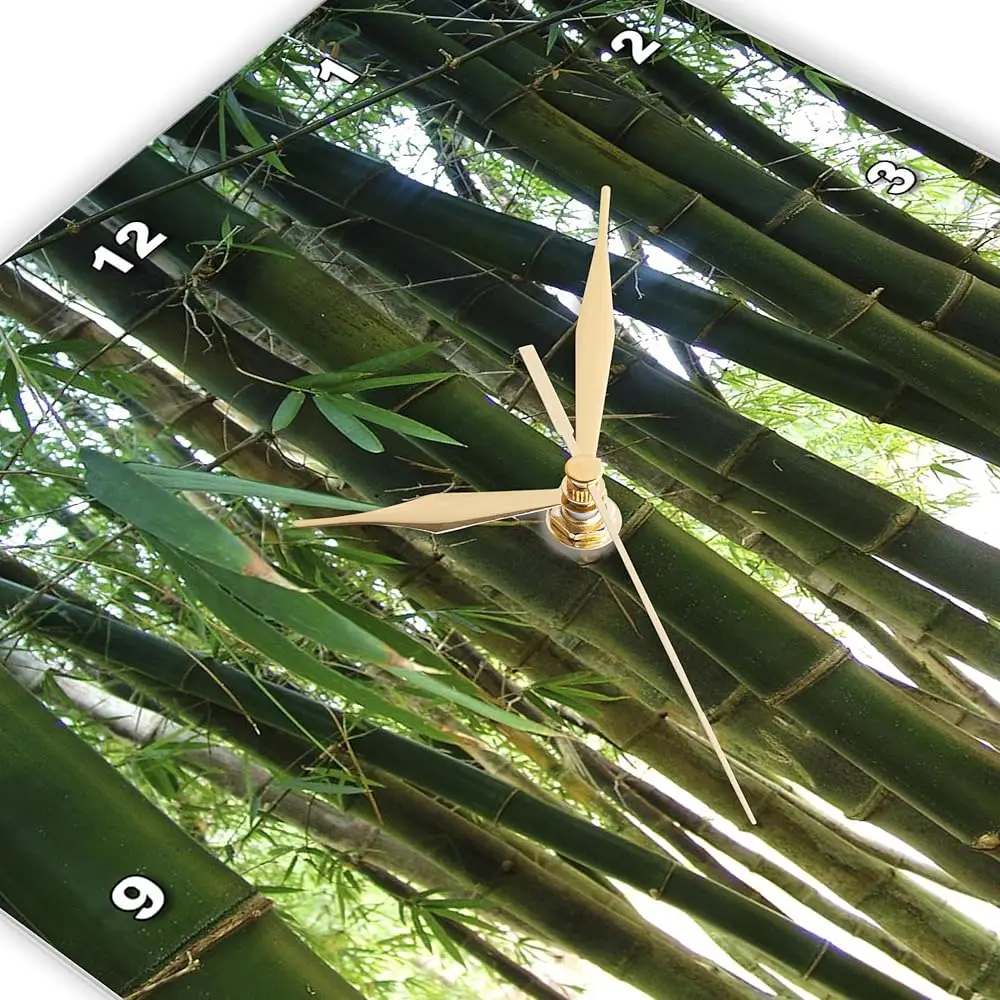 Jam Dinding Dekat Bambu, 10 Inci (Dpp_18608_1)