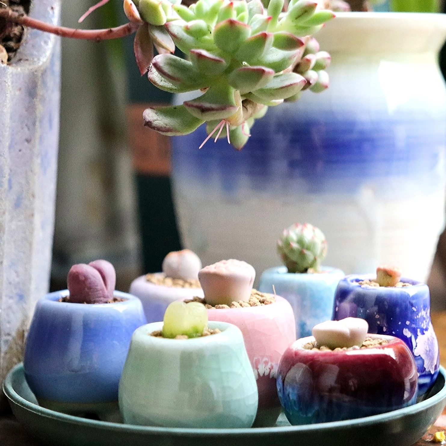 10Pcs Mini Ceramics Fowerpot Thumb Flowerpot Succulent Plant Flowerpot Home Garden Bonsai Potted Flower Pot  Plant Planting