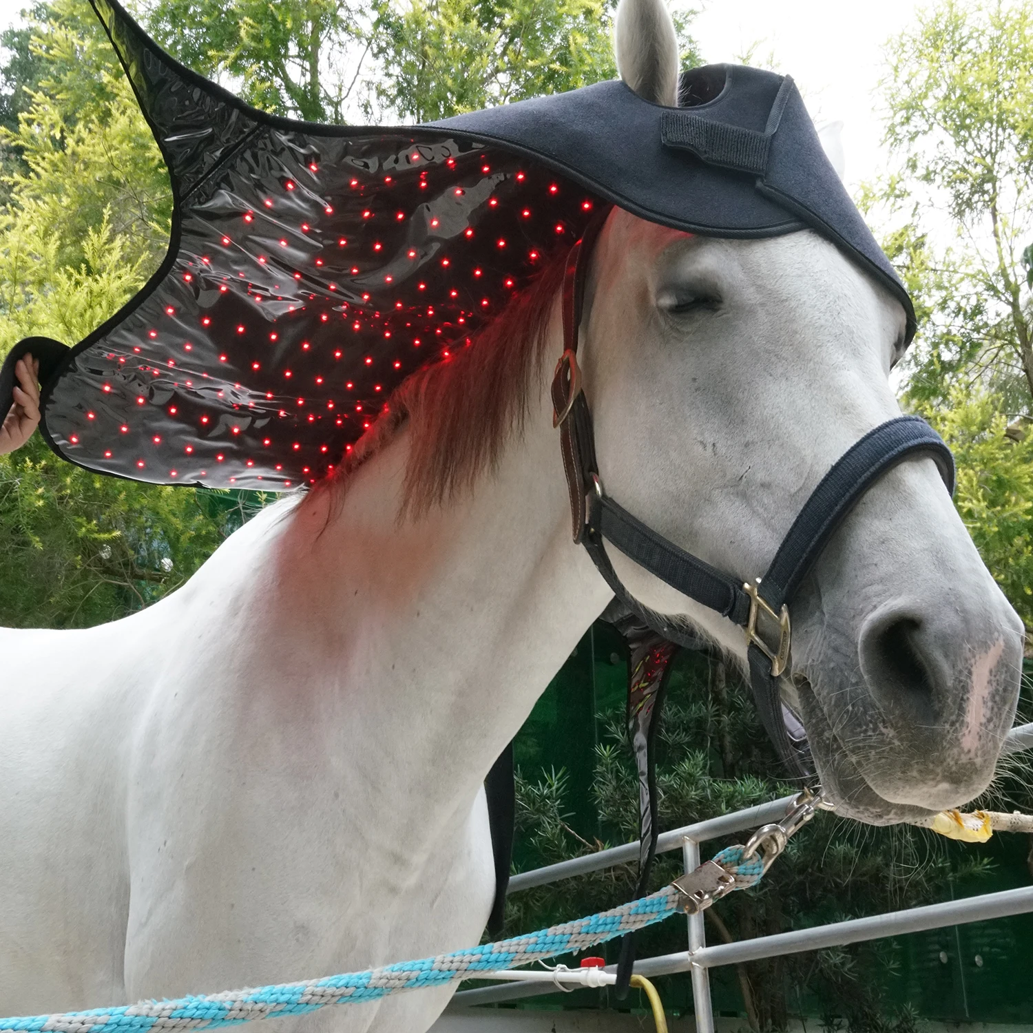 Equine  Red Grow Light Therapy Head And Neck Wrap 660nm 850nm LED Belt By KingBrite For Horse Pain Relief And Healing
