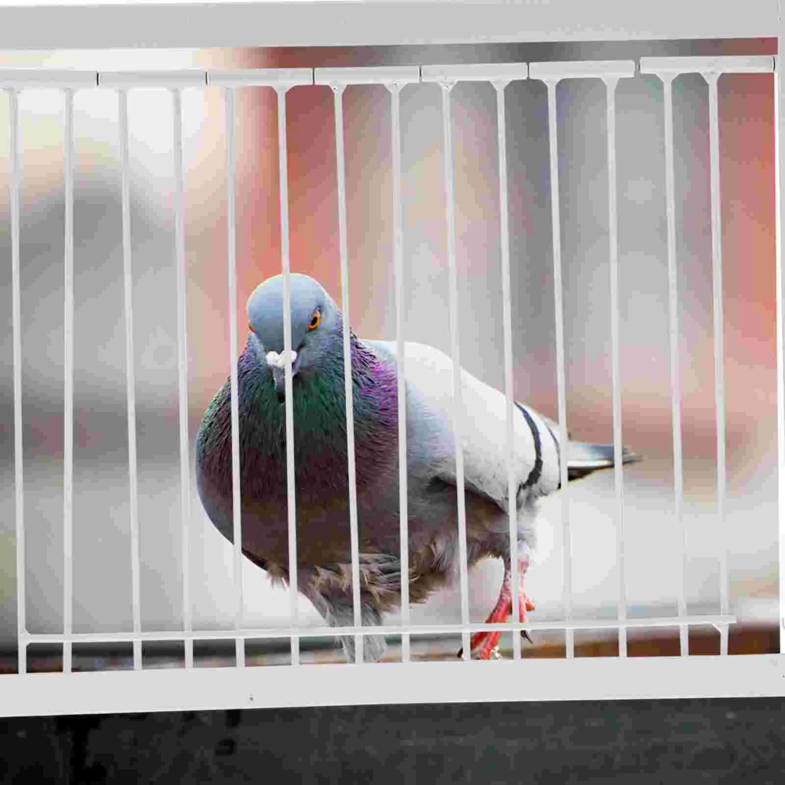 Pigeon Cage Door One Way Entrance Door Bird Cages T Traps Birdcage Iron Wire Traps Door Racing Pigeon Bird Cage