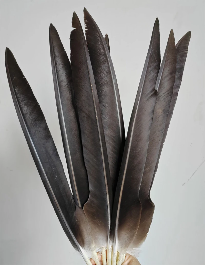 

10 шт., 40-50 см, длинные натуральные гусиные перья большого орла для поделок, большие птичьи перья ястреба, декоративные шапки, свадебный карнавал,